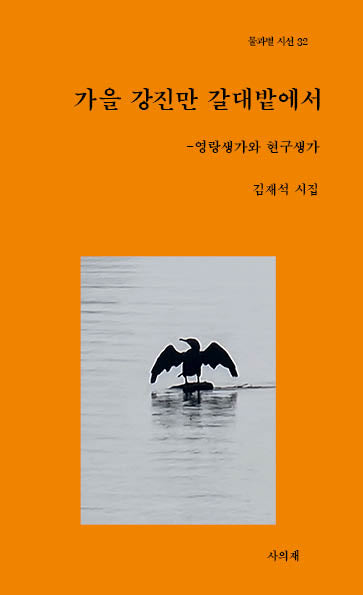 가을 강진만 갈대밭에서(물과별 시선 32)