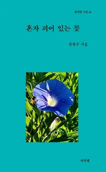 혼자 피어 있는 꽃(물과별시선 41)