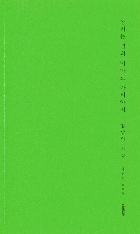 상처는 별의 이마로 가려야지(열린선 5)