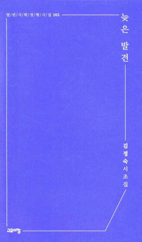 늦은 발견(열린시학정형시집 165)