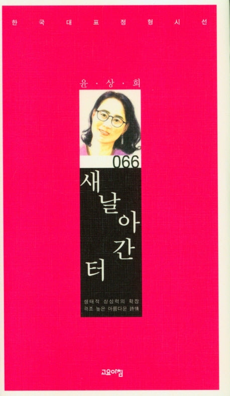 새 날아간 터