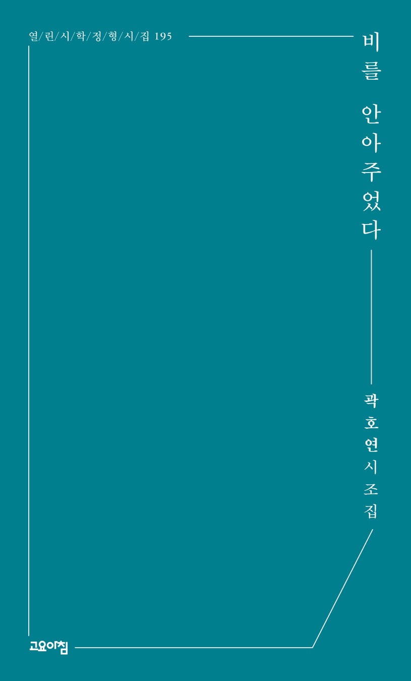 비를 안아주었다(열린시학 정형시집 195)