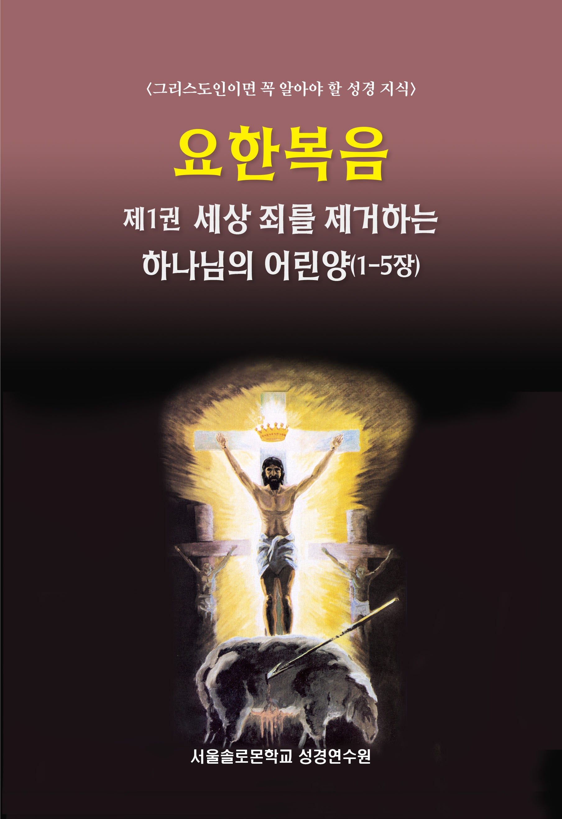 요한복음 제1권 세상 죄를 제거하는 하나님의 어린양(1-5장)(솔로몬 성경공부 시리즈)