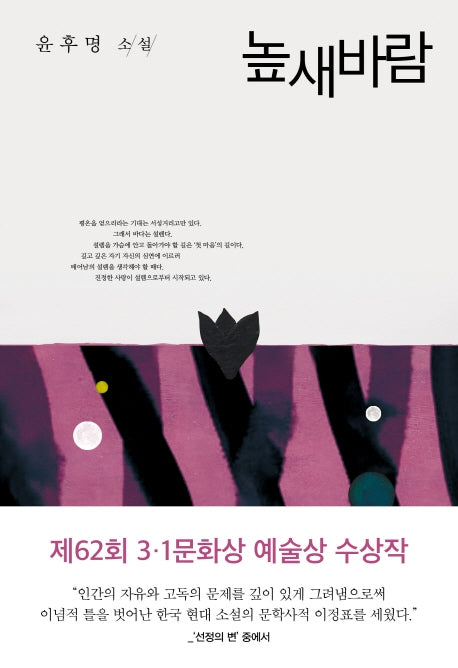높새바람(윤후명 소설전집 7)