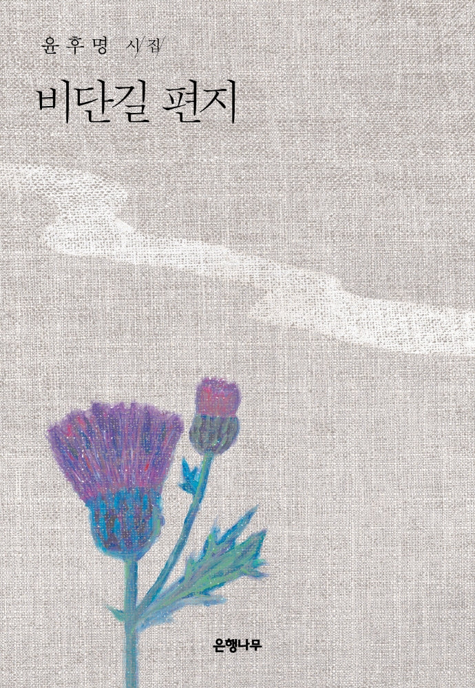 비단길 편지(양장본 Hardcover)