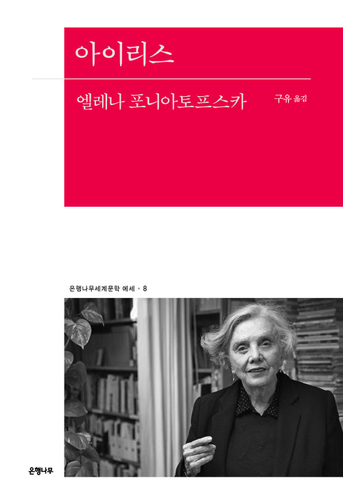 아이리스(은행나무세계문학 에세 8)