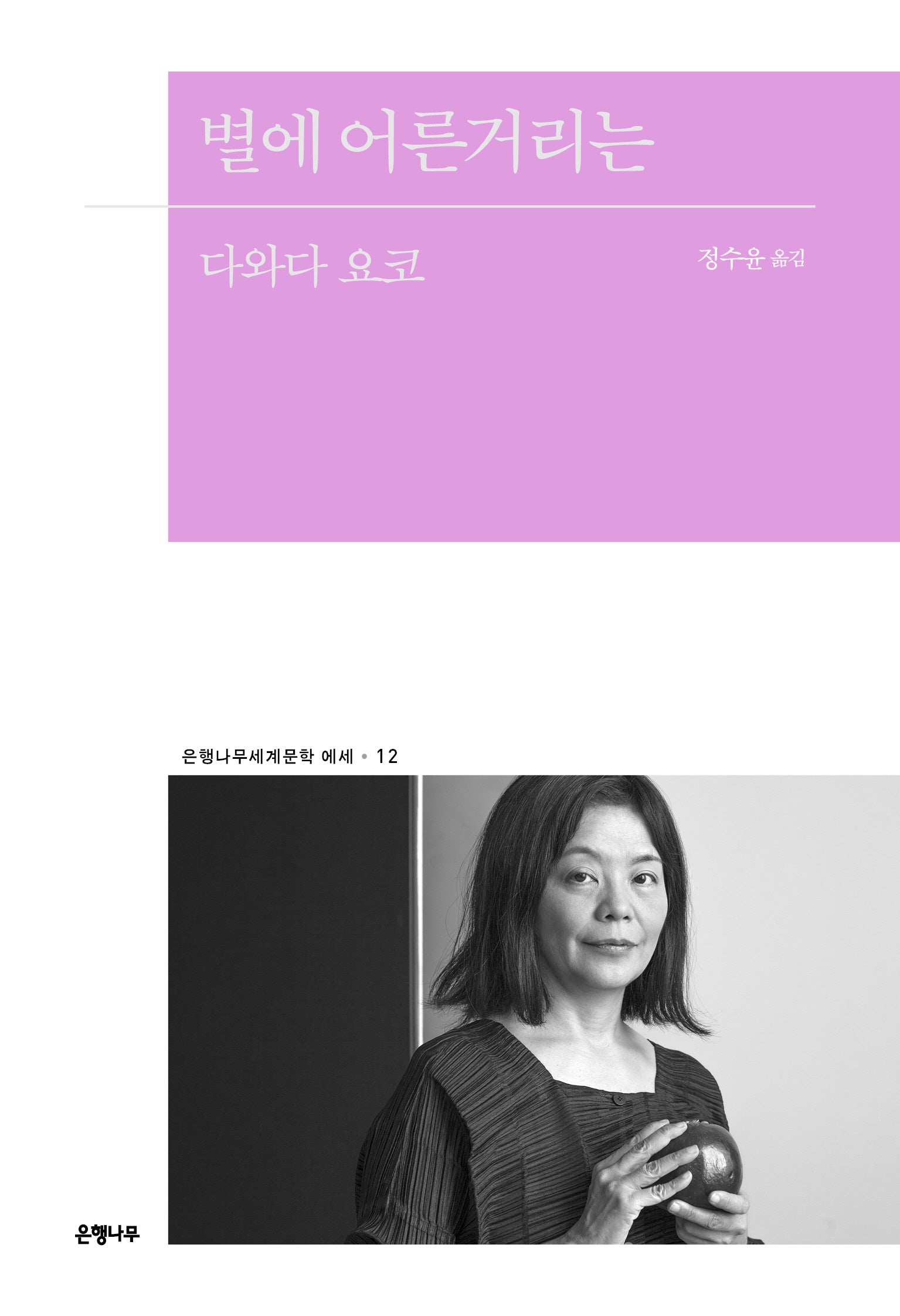 별에 어른거리는(은행나무세계문학 에세 12)