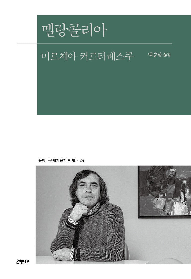 멜랑콜리아(은행나무 세계문학 에세 24)