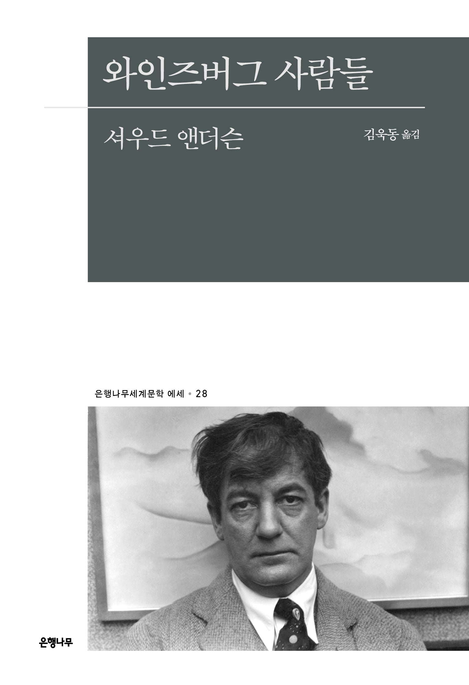 와인즈버그 사람들(은행나무세계문학 에세 28)