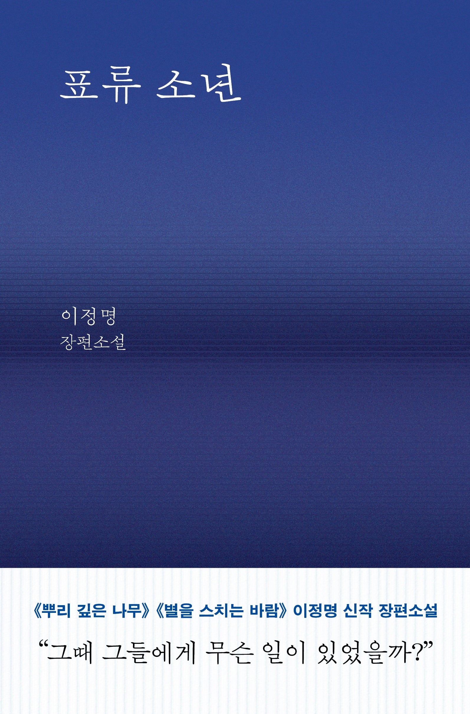표류 소년