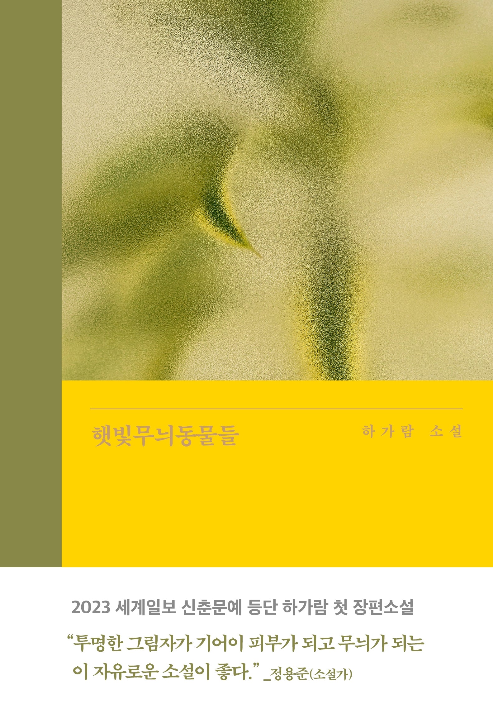 햇빛무늬동물들(은행나무 시리즈 N 21)