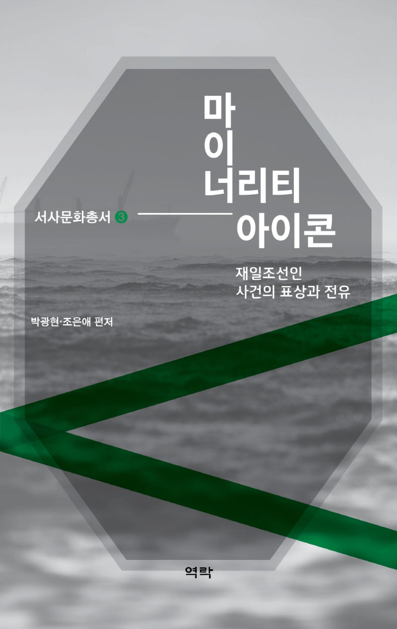 마이너리티 아이콘(서사문화총서 3)(양장본 Hardcover)