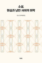 소설, 현실과 낭만 사이의 미학(양장본 Hardcover)