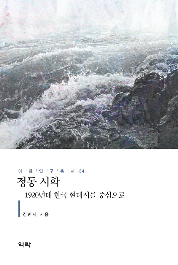 정동 시학(이화연구총서 34)