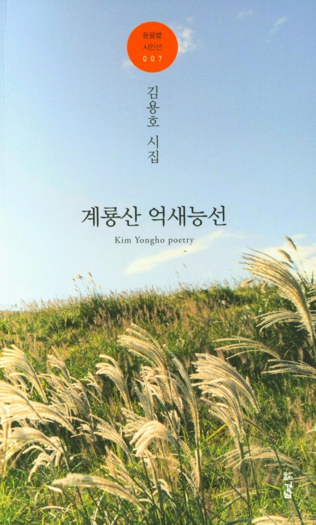 계룡산 억새능선(돋을볕 시인선 007)