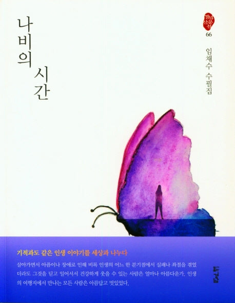 나비의 시간(경남산문선 66)