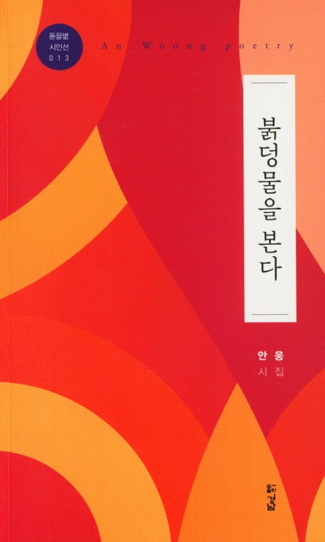 붉덩물을 본다(돋을별 시인선 13)