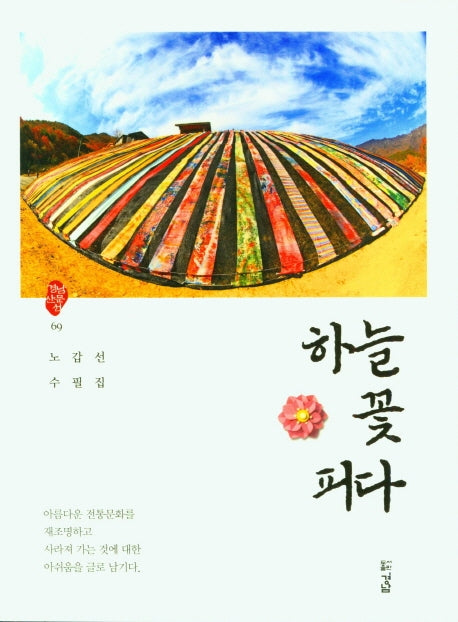 하늘꽃 피다(경남산문선 69)