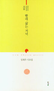 빨래 삶는 저녁(경남시인선 234)