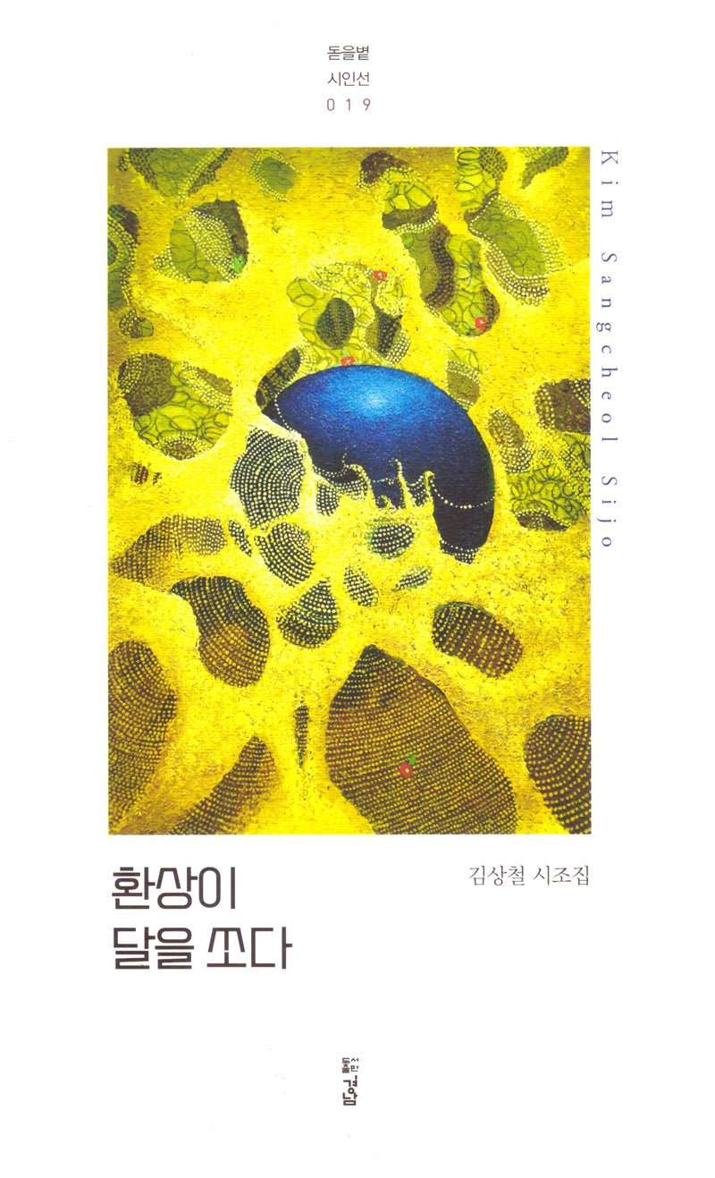 환상이 달을 쏘다(돋을볕시인선 19)