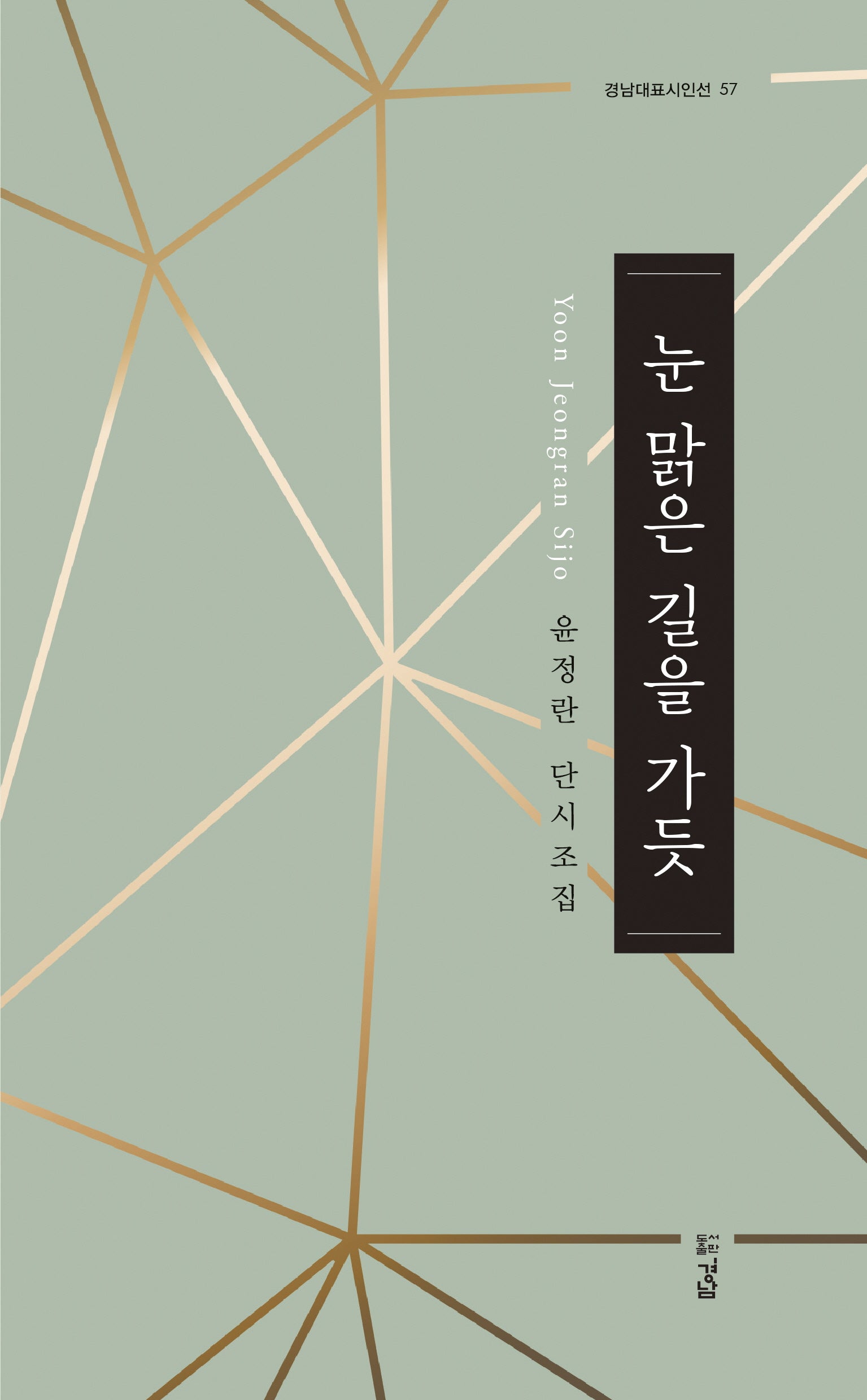 눈 맑은 길을 가듯(경남대표시인선 57)