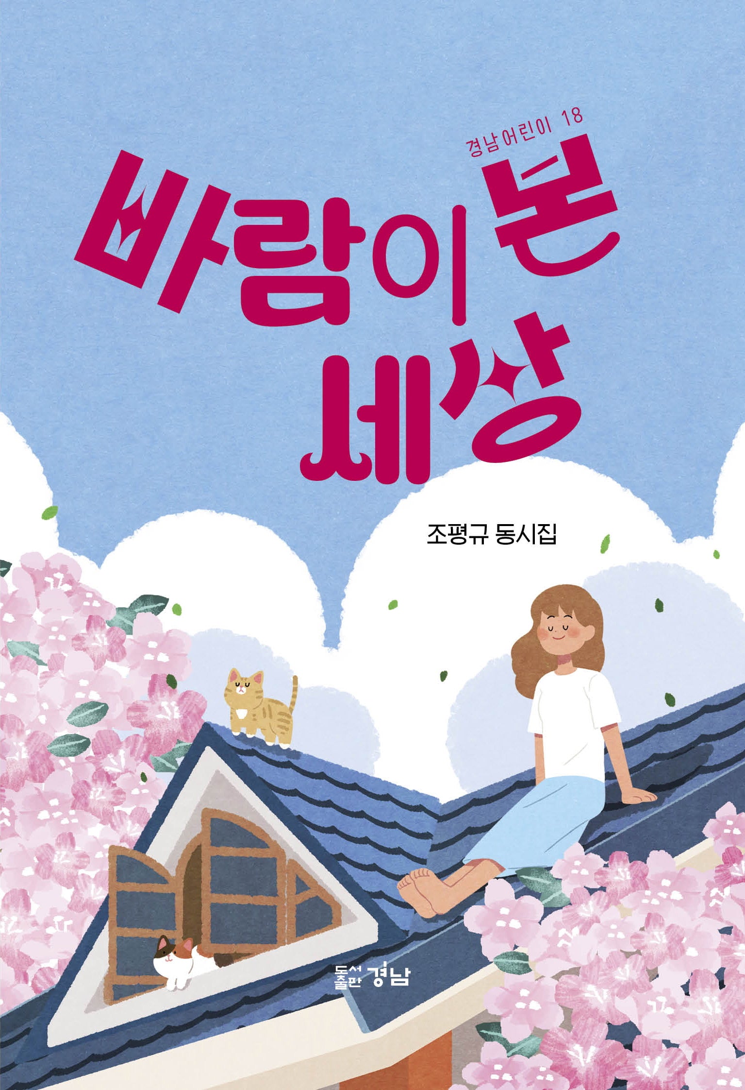 바람이 본 세상(경남어린이 18)