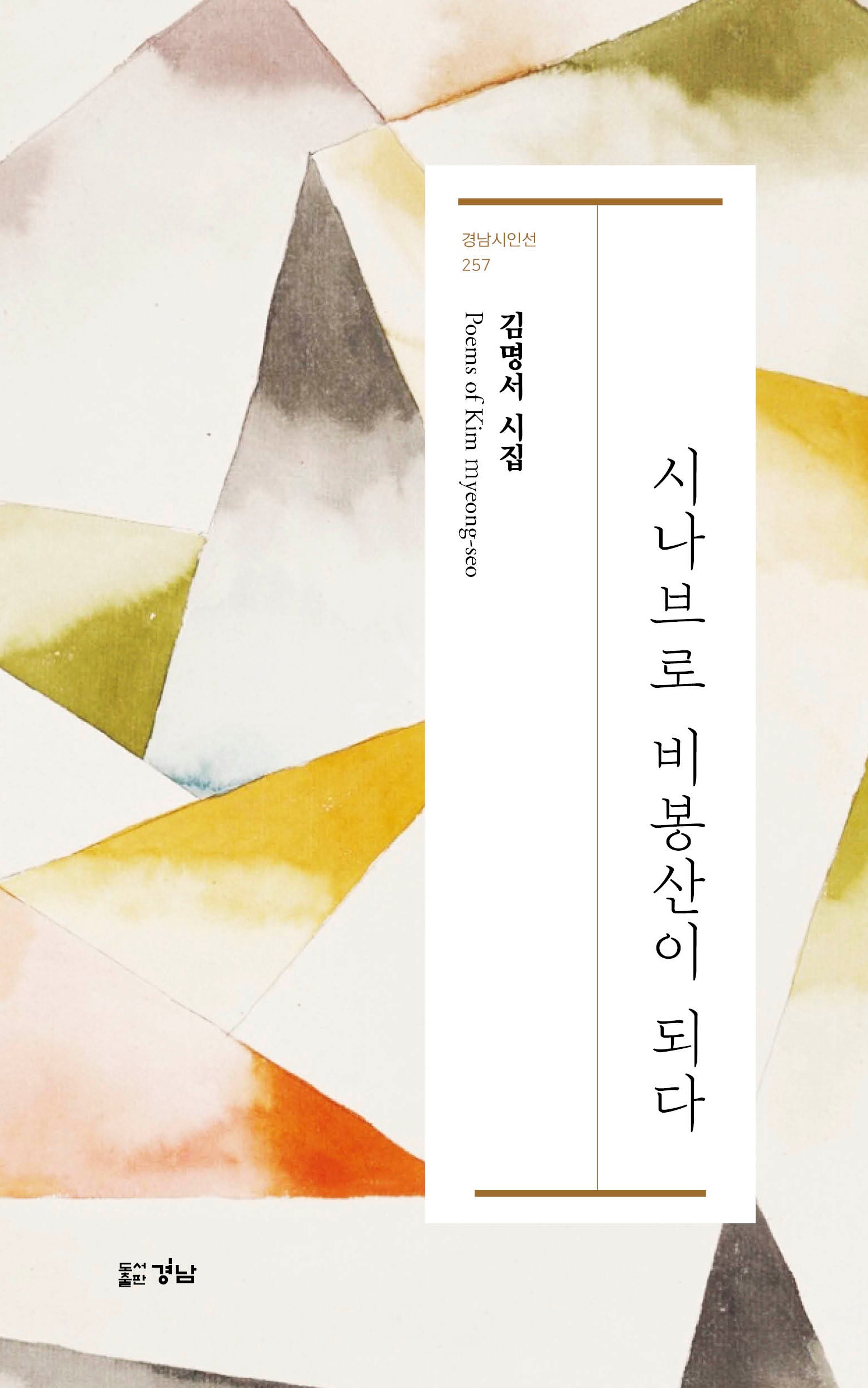시나브로 비봉산이 되다(경남시인선 257)