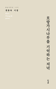 호랑가시나무를 기억하는 저녁(경남시인선 259)