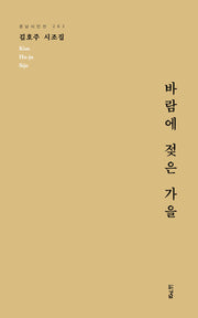 바람에 젖은 가을(경남시인선 263)