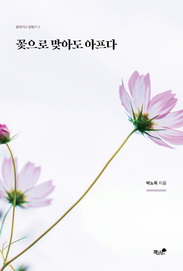 꽃으로 맞아도 아프다(등애거사 방랑기 2)