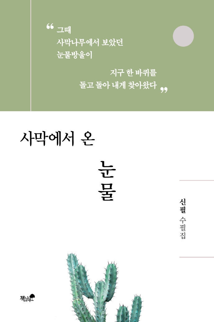 사막에서 온 눈물