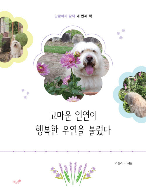 고마운 인연이 행복한 우연을 불렀다(단발머리 담덕 4)