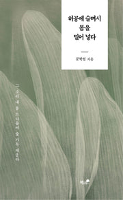 허공에 슬며시 몸을 밀어 넣다