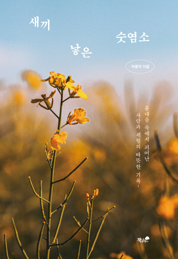 새끼 낳은 숫염소