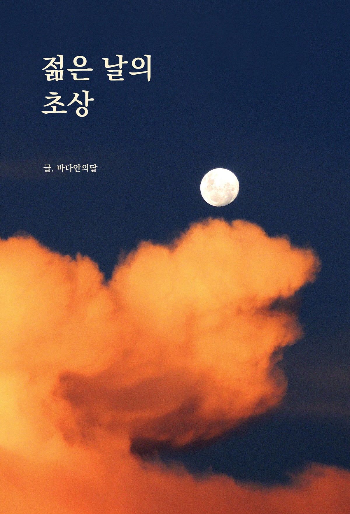 젊은 날의 초상