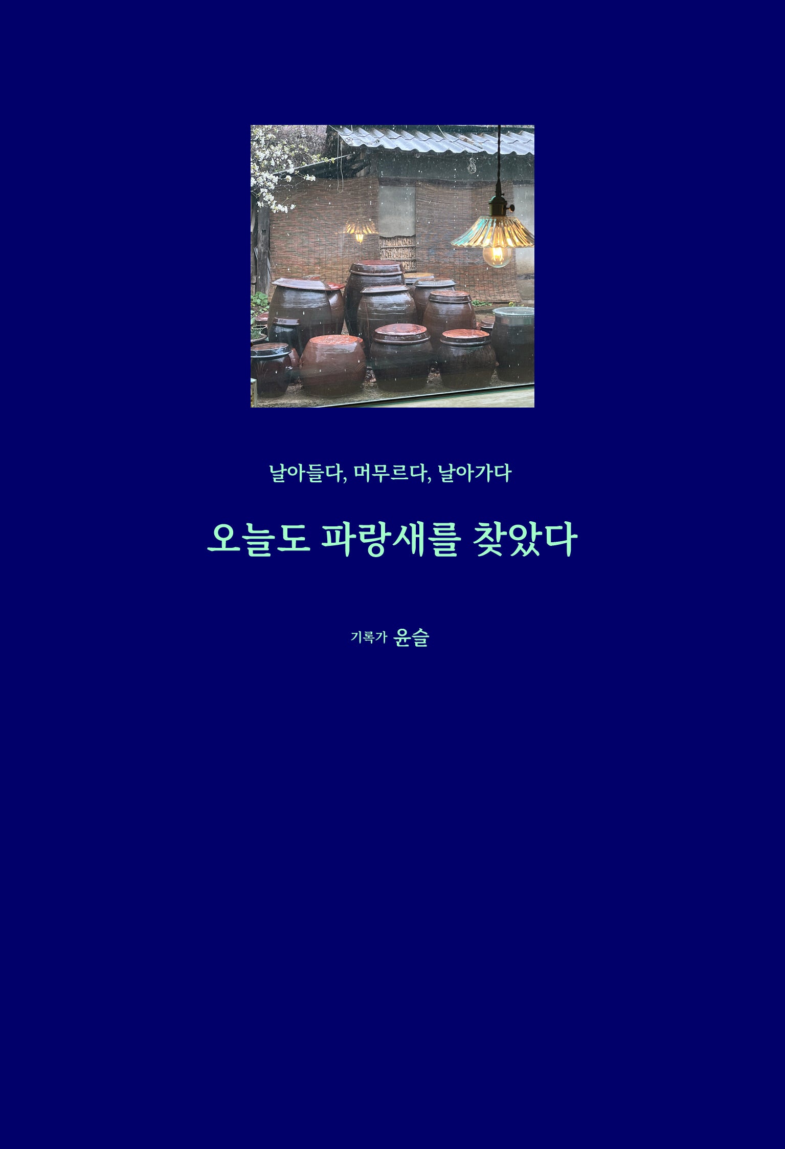 오늘도 파랑새를 찾았다
