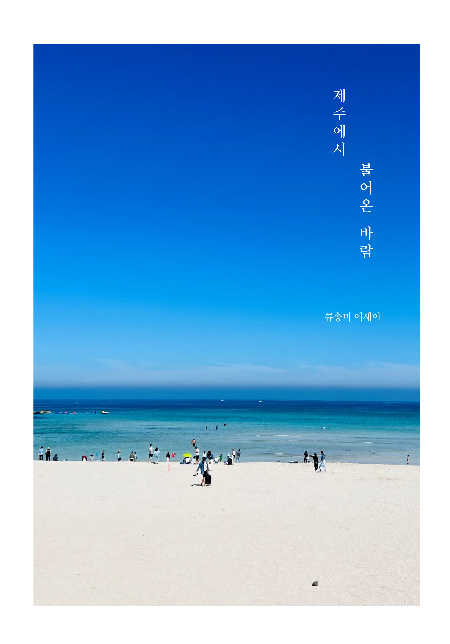 제주에서 불어온 바람