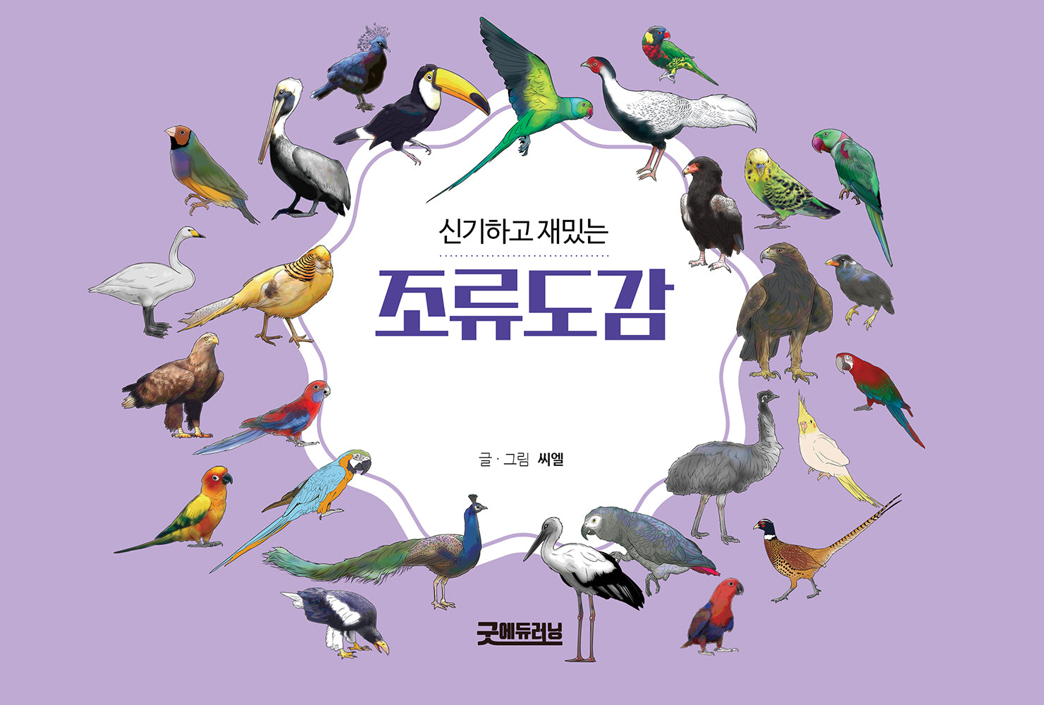 신기하고 재밌는 조류도감