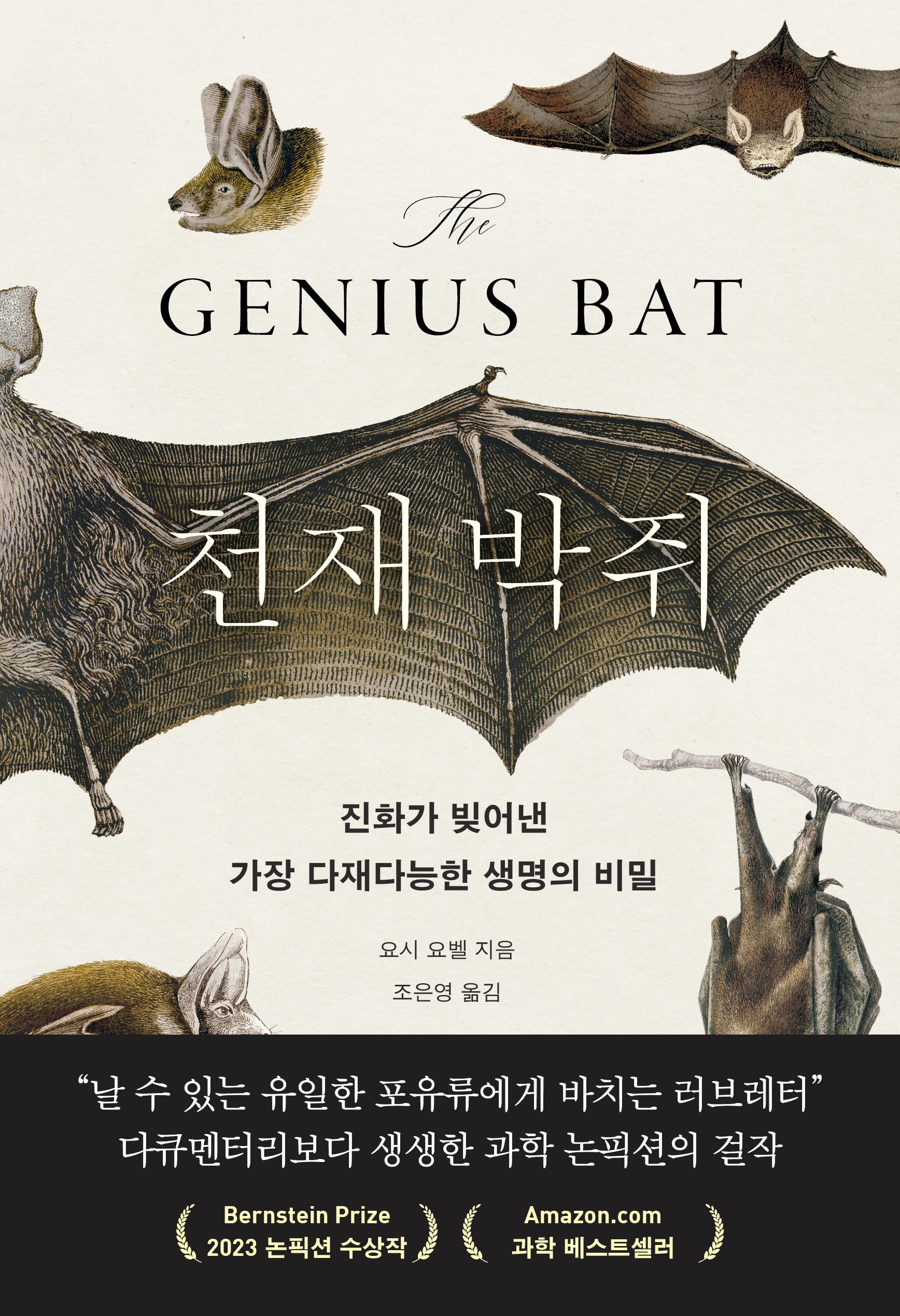 천재 박쥐