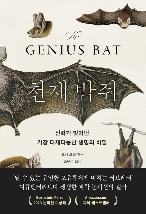 천재 박쥐