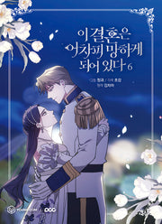 이 결혼은 어차피 망하게 되어 있다 6