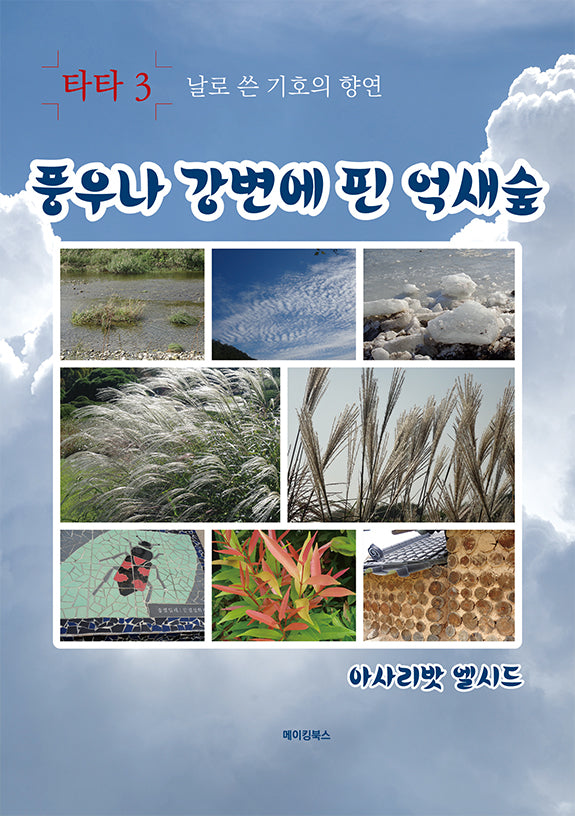 풍우나 강변에 핀 억새숲(타타 3)