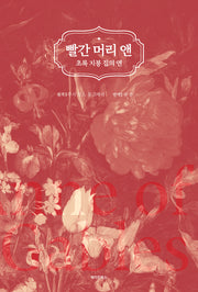 빨간 머리 앤: 초록 지붕 집의 앤