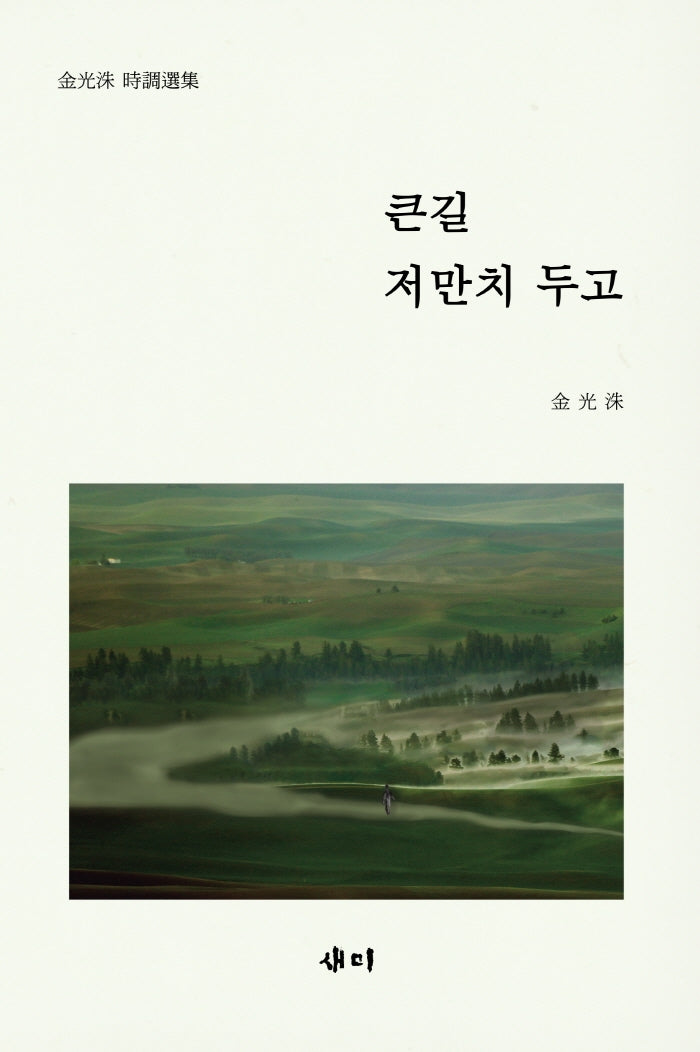 큰길 저만치 두고(양장본 Hardcover)