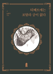 티베트에는 포탈라 궁이 없다(큰글자도서)