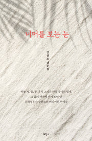 너머를 보는 눈
