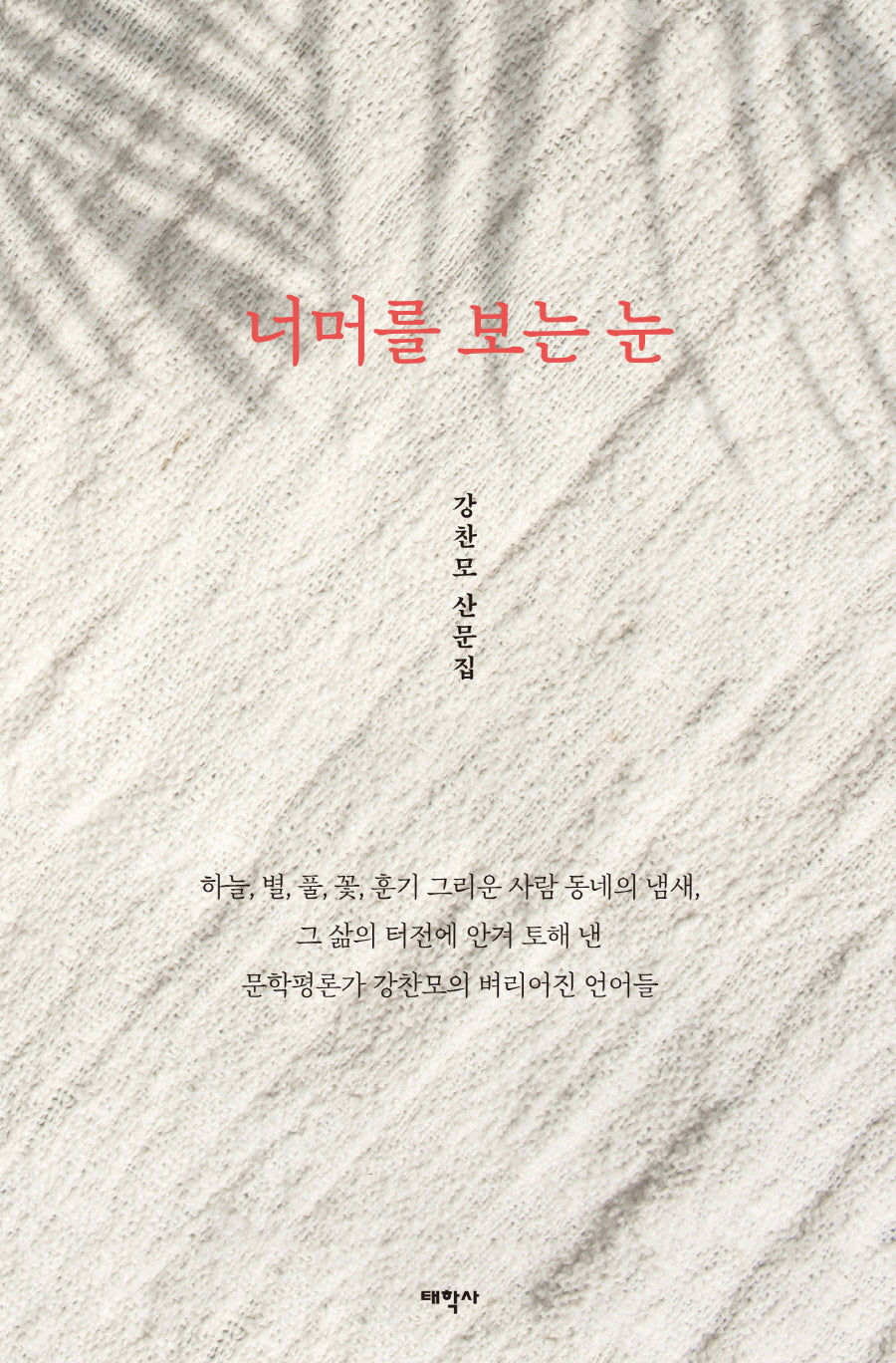 너머를 보는 눈
