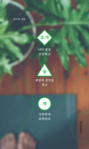 요가 숲 차