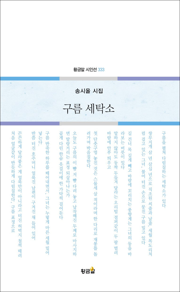 구름 세탁소(황금알 시인선 333)