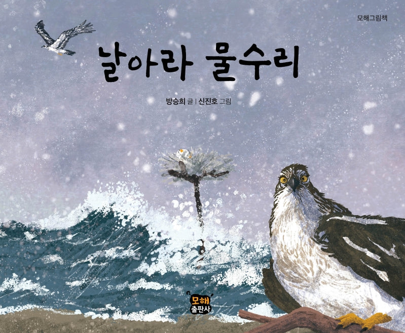 날아라 물수리(모해그림책)(양장본 Hardcover)